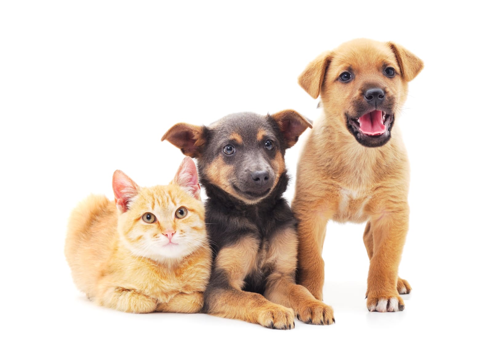 b00st.com client users received custom invites to join the community over at community.b00st.com today. And we're stoked that you're stoked.